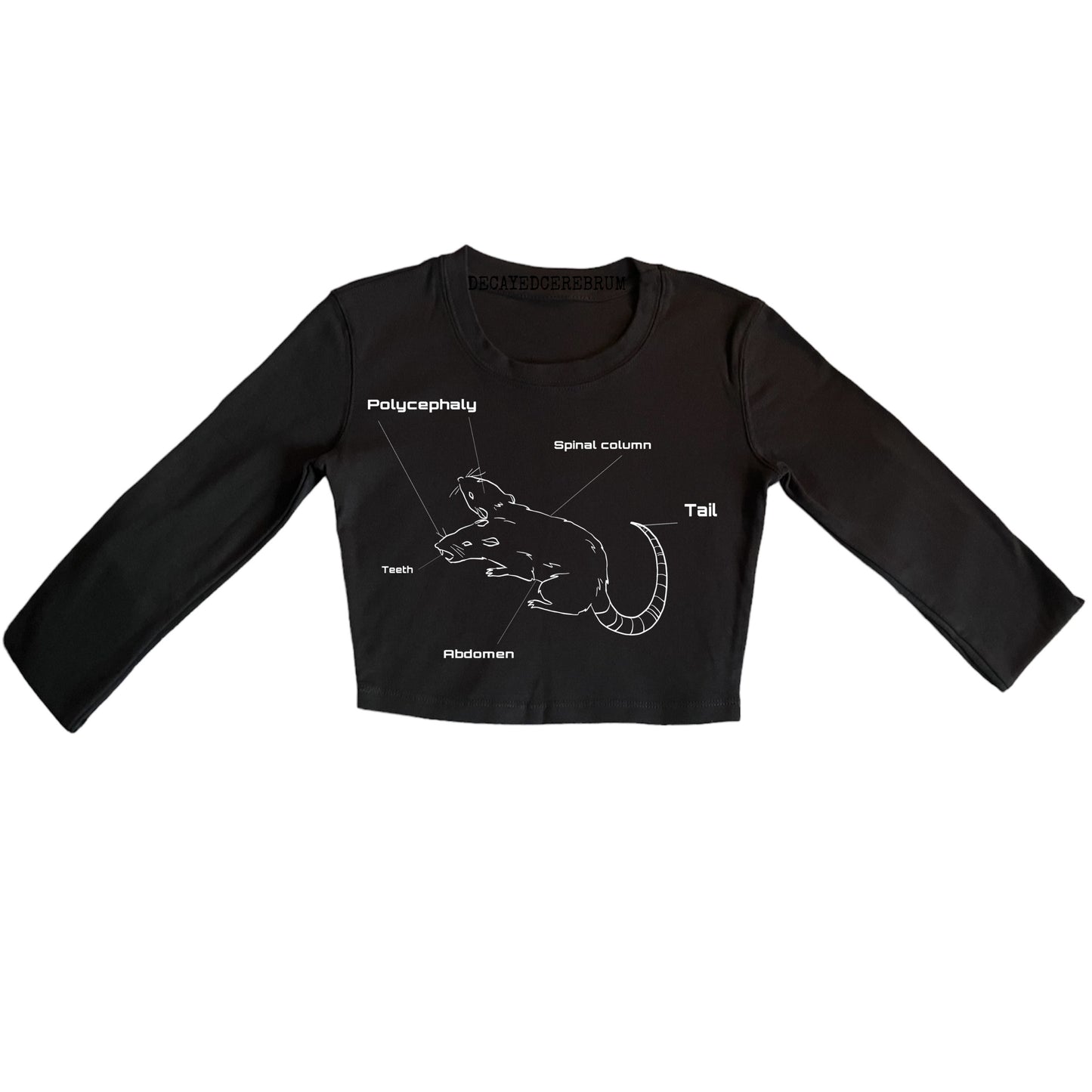 Two headed rat anatomy cropped long sleeve