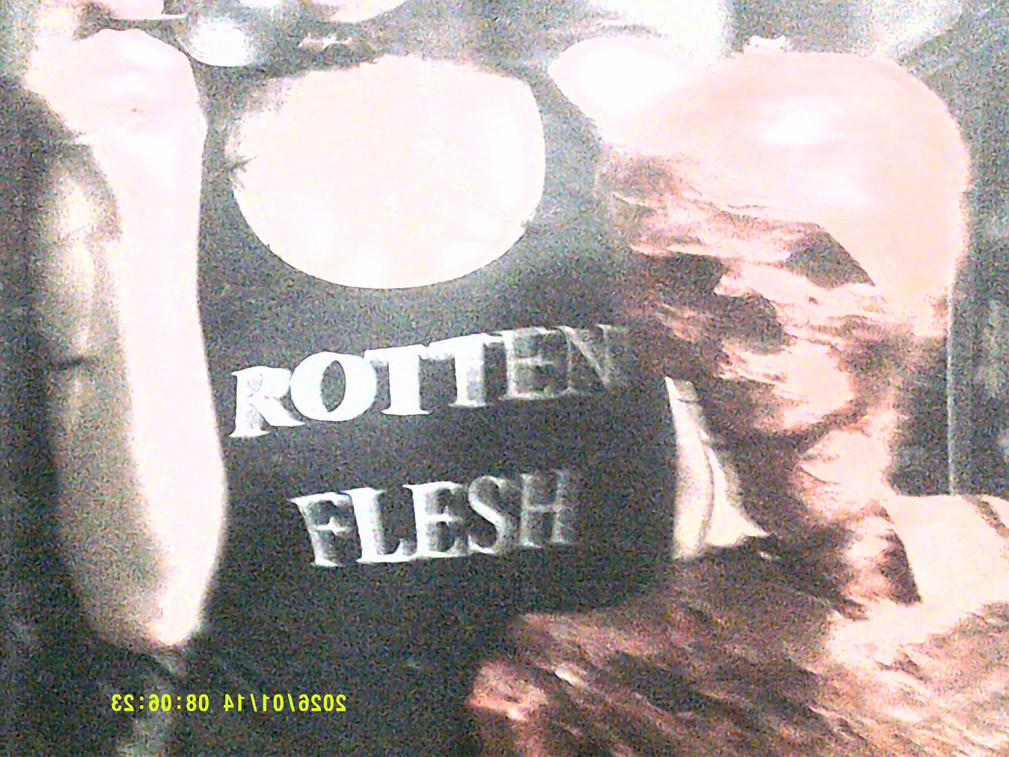 Rotten flesh bodysuit